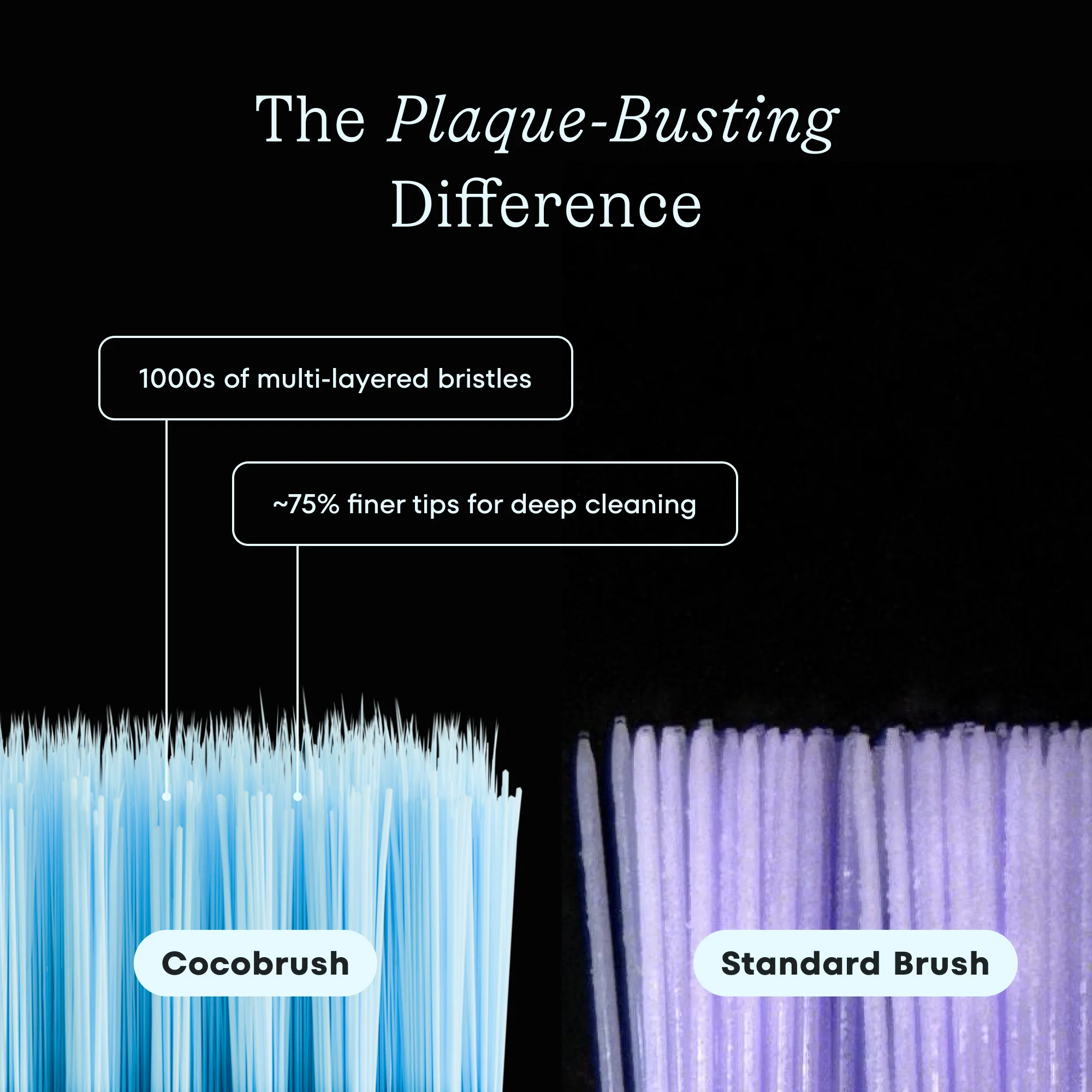 Cocobrush, Coastal Colors — 3 Pack - Image 4