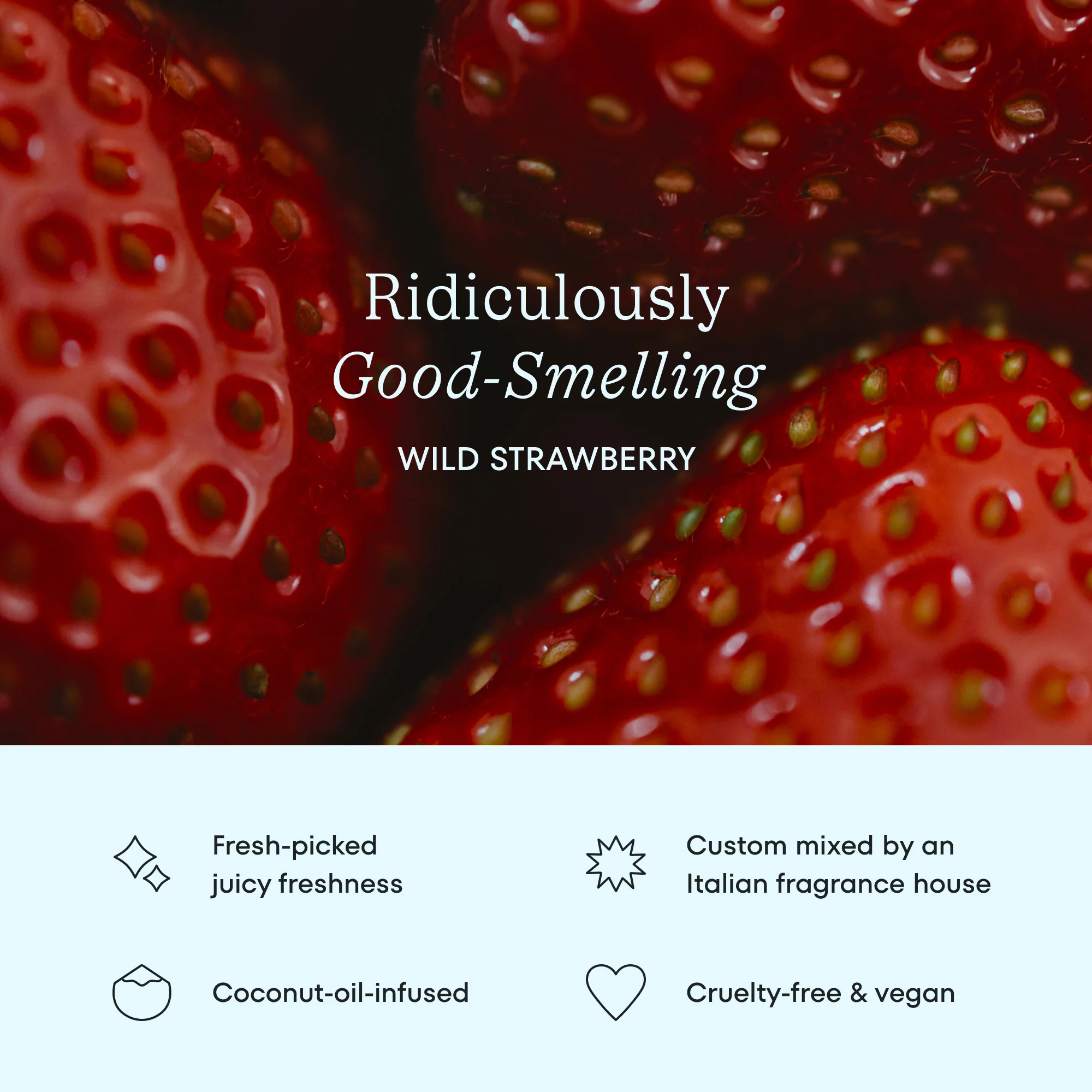 Cocofloss Happiness Set - Image 6