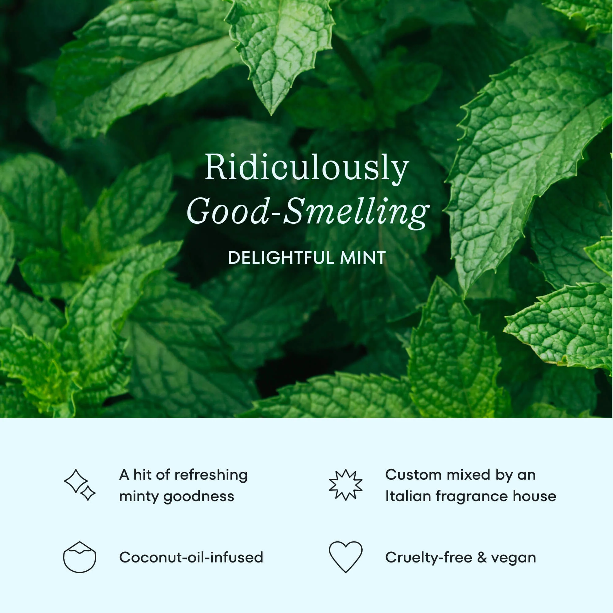 Cocofloss Everything Set - Image 4