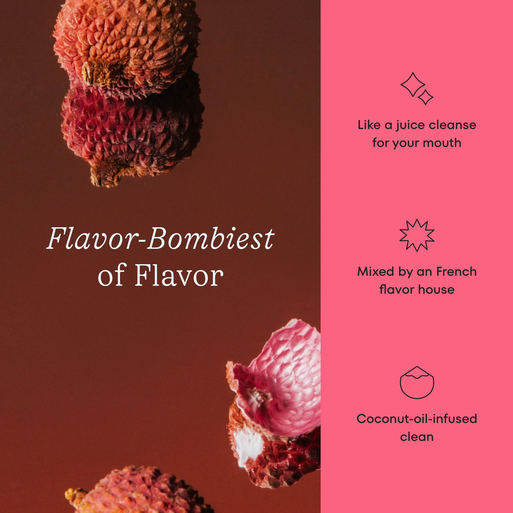 Cocoshine Duo - Image 11