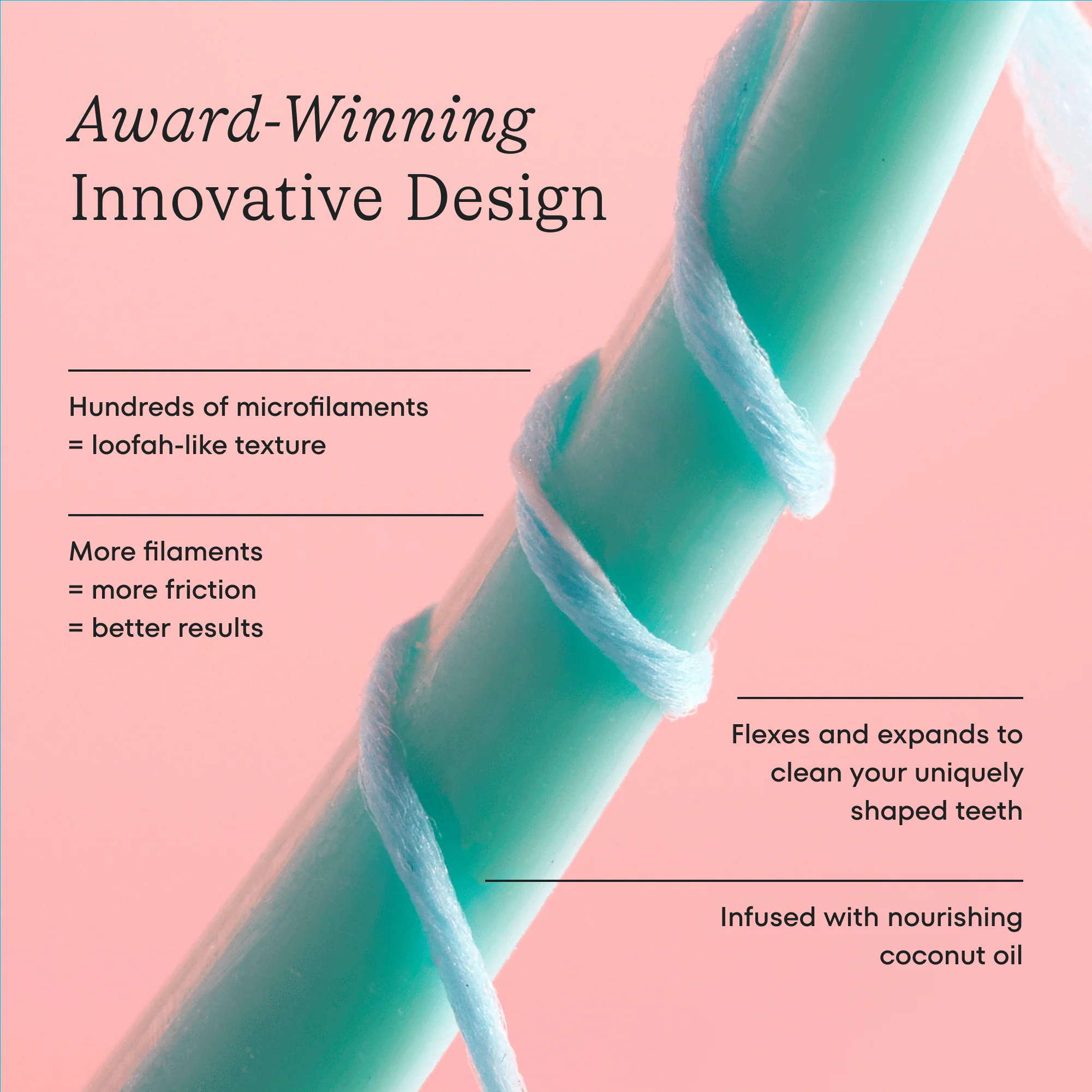 Shine + Floss Kit - Image 10