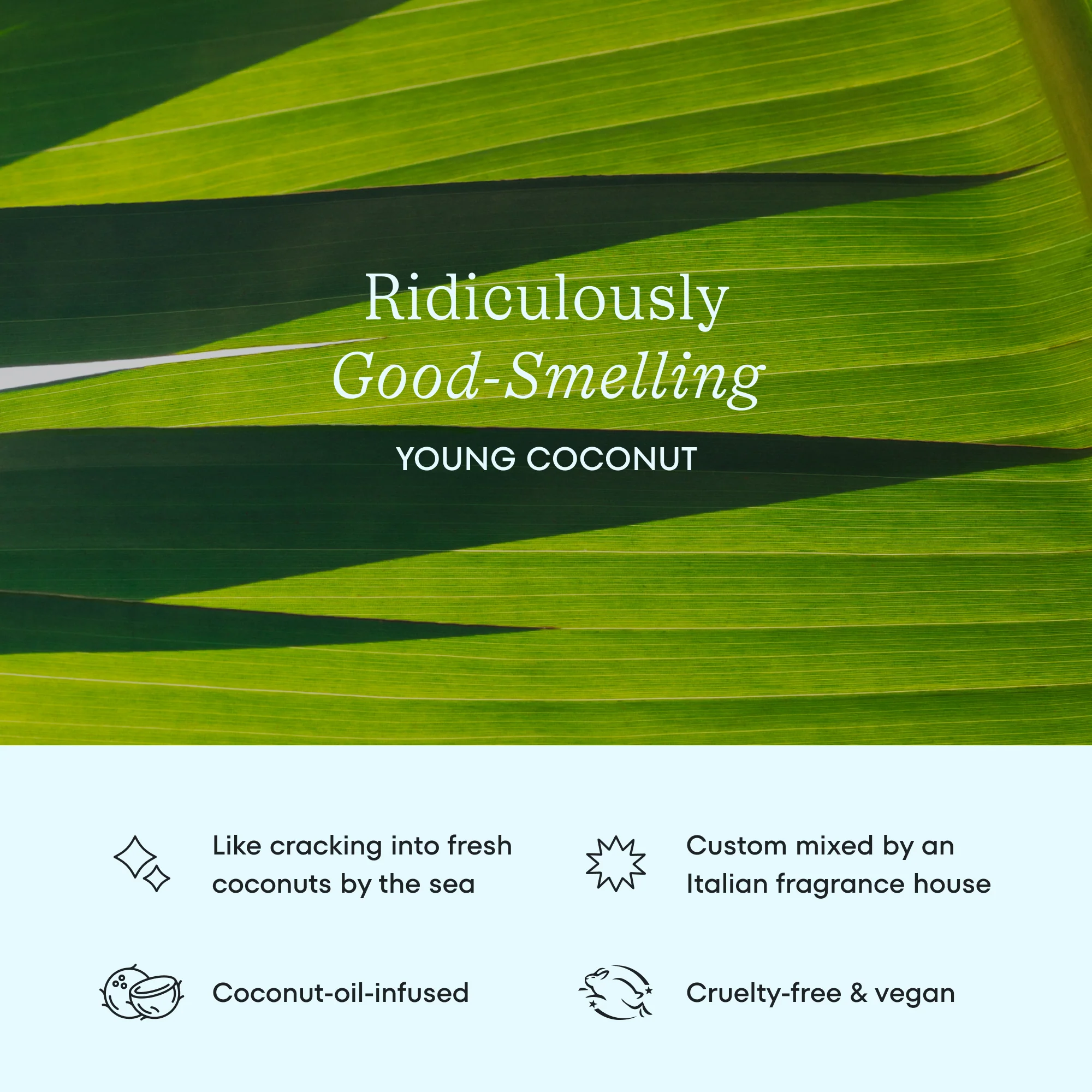 Shine + Floss Kit - Image 12