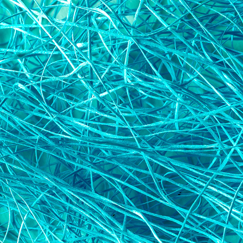 Vanilla Bean Dental Floss - Image 10