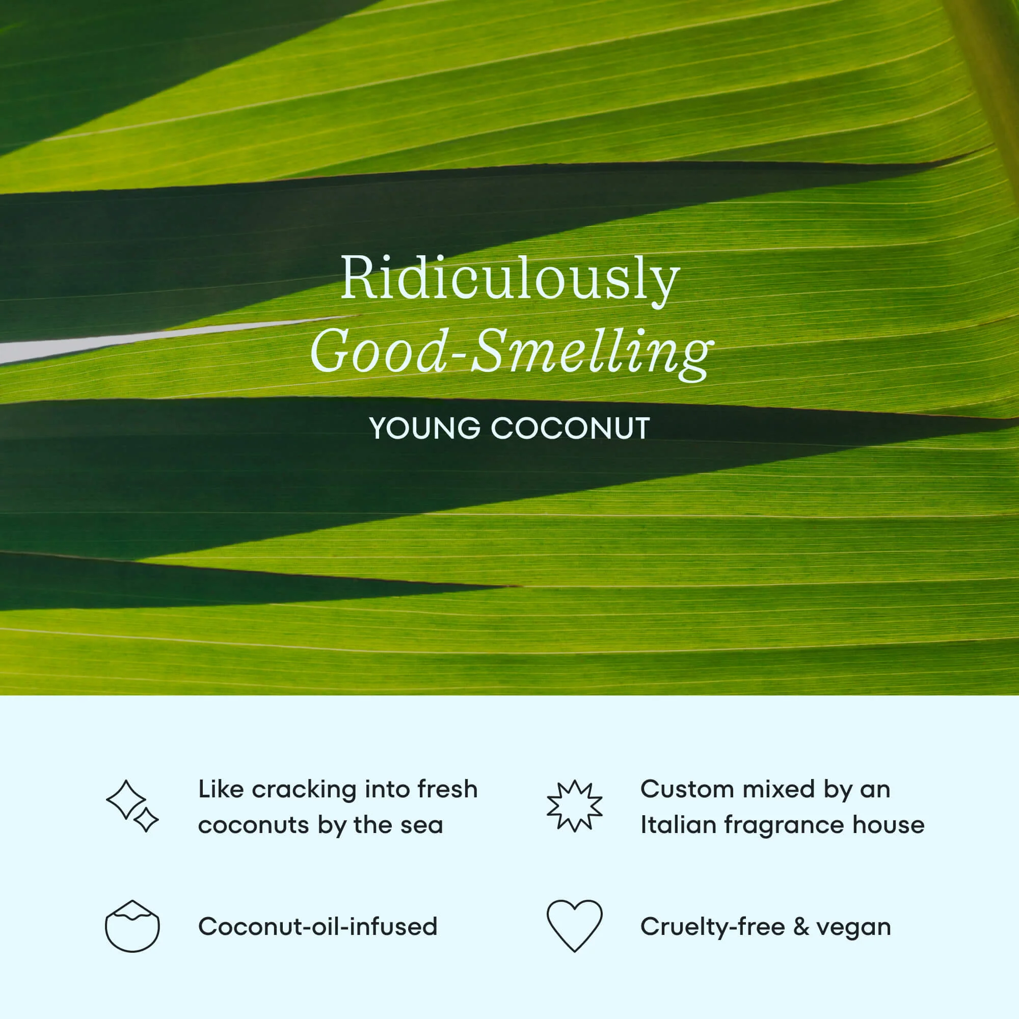 Young Coconut Dental Floss - Image 3